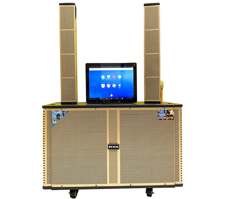 Loa kéo array có tích hợp thêm cả có thể sử dụng bình điện hoạt động nên như một dàn karaoke di động
